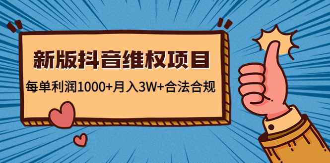 新版抖音维全项目：每单利润1000+月入3W+合法合规！-91网创