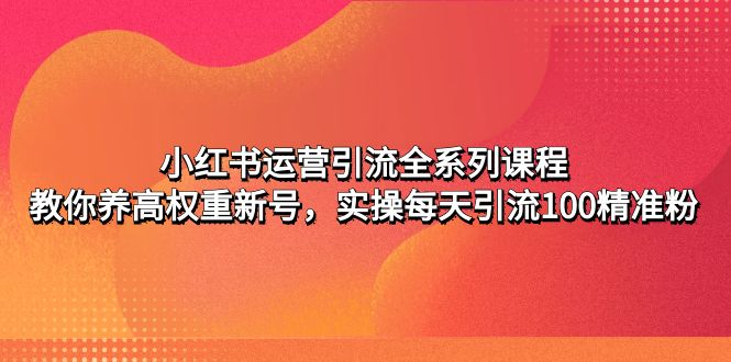 小红书运营引流全系列课程：教你养高权重新号，实操每天引流100精准粉-91网创
