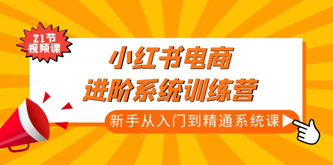 小红书电商进阶系统训练营：新手从入门到精通系统课（21节视频课）-91网创
