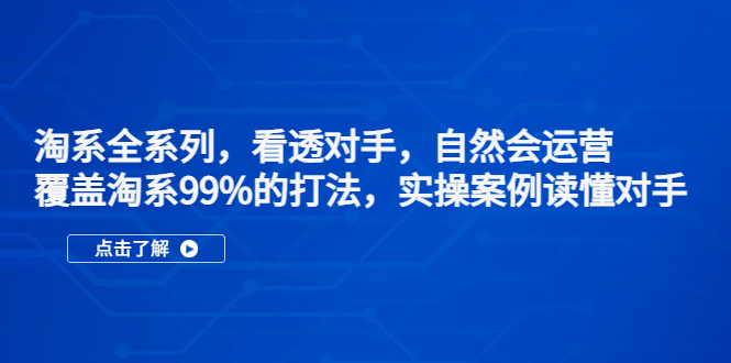 淘系全系列，看透对手，自然会运营，覆盖淘系99%·打法，实操案例读懂对手-91网创