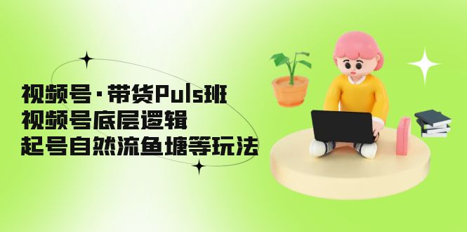 视频号·带货Puls班，视频号底层逻辑，起号自然流鱼塘等玩法-91网创