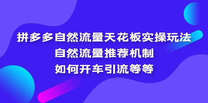 拼多多自然流量天花板实操玩法：自然流量推荐机制，如何开车引流等等-91网创