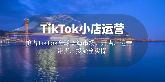 TikTok小店运营 抢占TikTok全球蓝海市场，开店、运营、带货、投流全实操-91网创