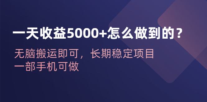 一天收益5000+怎么做到的？无脑搬运即可，长期稳定项目，一部手机可做-91网创