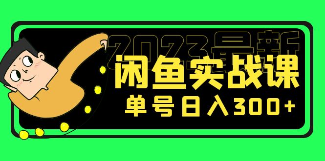 花599买的闲鱼项目：2023最新闲鱼实战课，单号日入300+（7节课）-91网创
