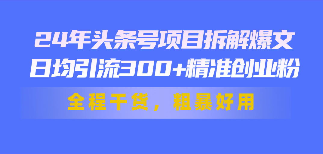 24年头条号项目拆解爆文，日均引流300+精准创业粉，全程干货，粗暴好用-91网创