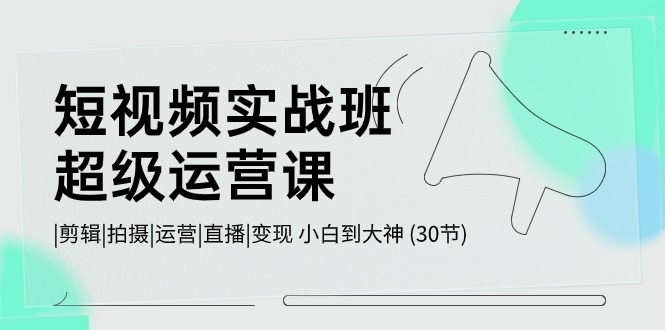 （10836期）短视频实战班-超级运营课，|剪辑|拍摄|运营|直播|变现 小白到大神 (30节)-91网创