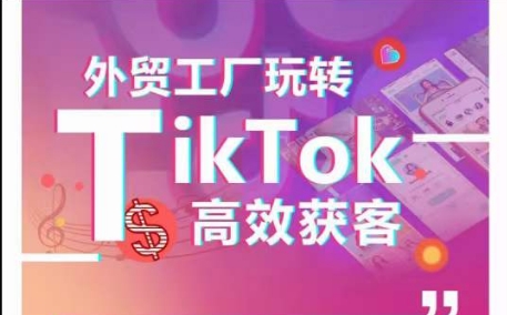 外贸工厂玩转TikTok高效获客，多种引流方式与账号定位技巧，拆解爆款短视频打造成功案例-91网创