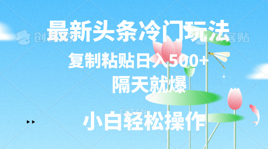 最新头条冷门玩法，隔天就爆，复制粘贴日入500+-91网创