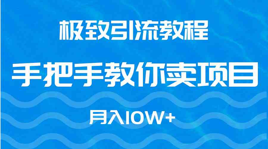 （9265期）极致引流教程，手把手教你卖项目，月入10W+-91网创